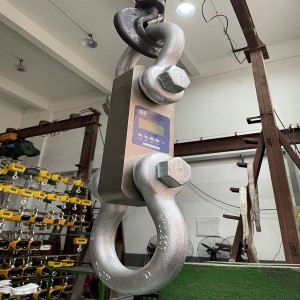 200噸拉力計(jì)